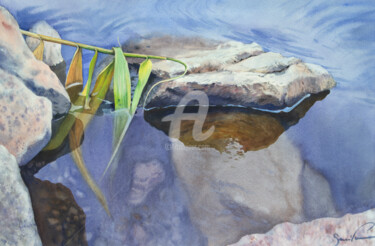 Pittura intitolato "Stone in water" da Samira Yanushkova, Opera d'arte originale, Acquarello