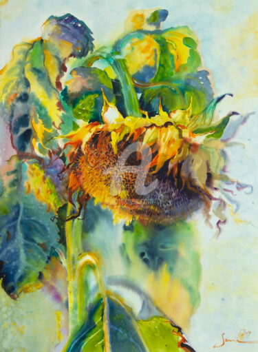 Ζωγραφική με τίτλο "Sunflower painting…" από Samira Yanushkova, Αυθεντικά έργα τέχνης, Ακουαρέλα