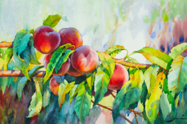 Painting titled "Peaches on a branch" by Samira Yanushkova, Original Artwork, Watercolor