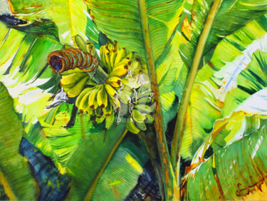 Painting titled "Bananas" by Samira Yanushkova, Original Artwork, Watercolor