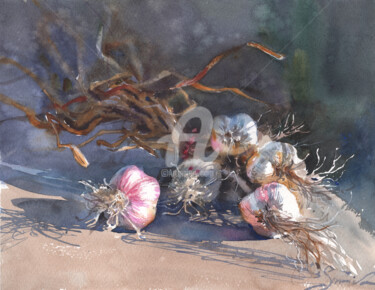 Peinture intitulée "Garlick" par Samira Yanushkova, Œuvre d'art originale, Aquarelle