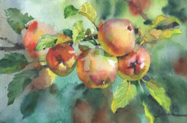 Painting titled "Apples" by Samira Yanushkova, Original Artwork, Watercolor