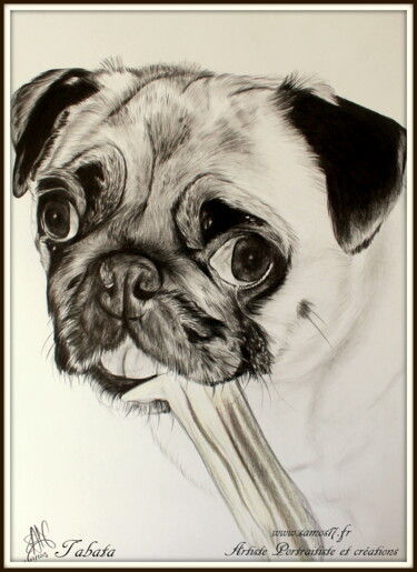 Drawing titled "portrait chien noir…" by Samos17 Portraitiste, Original Artwork, Pencil