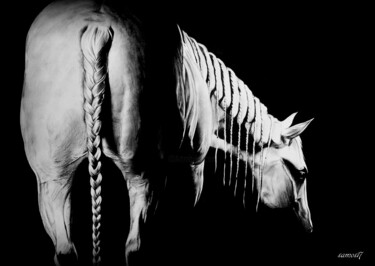 Dessin intitulée "cheval dessin à la…" par Samos17 Portraitiste, Œuvre d'art originale, Graphite