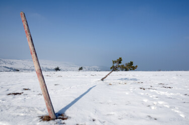 Photography titled "Le poteau et le sap…" by Samuel Colliard, Original Artwork, Digital Photography