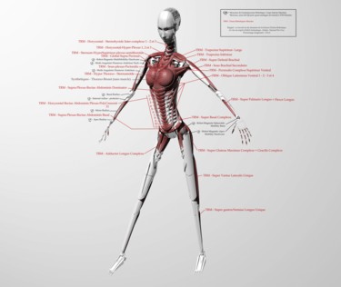 Digitale Kunst mit dem Titel "virtuality-ciaa-fir…" von Samuel De Cruz, Original-Kunstwerk, 3D Modellierung
