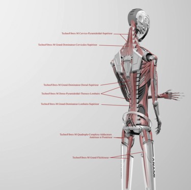 Arte digital titulada "virtuality-anami-an…" por Samuel De Cruz, Obra de arte original, Modelado 3D