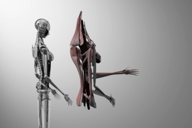 Цифровое искусство под названием "ANAMI - anatomy.jpg" - Samuel De Cruz, Подлинное произведение искусства, 3D моделирование