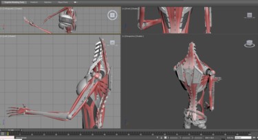 Digital Arts titled "ANAMI - muscles.jpg" by Samuel De Cruz, Original Artwork, 3D Modeling
