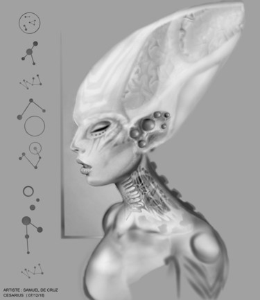 Cesarius Civilisation Cosmique Samuel De Cruz