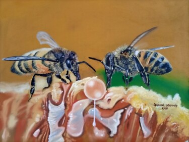Schilderij getiteld "Honey Bee" door Samuel Momoh (Artsam), Origineel Kunstwerk, Olie Gemonteerd op Frame voor houten branca…