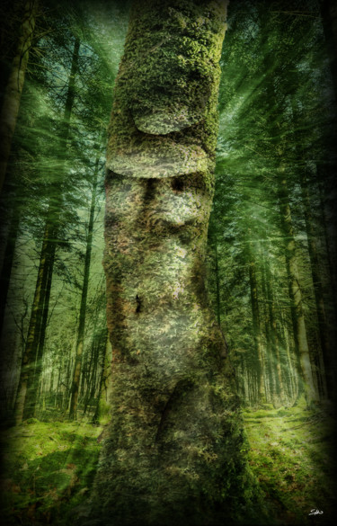 Digital Arts titled "Dame Nature" by San Art, Original Artwork, Photo Montage