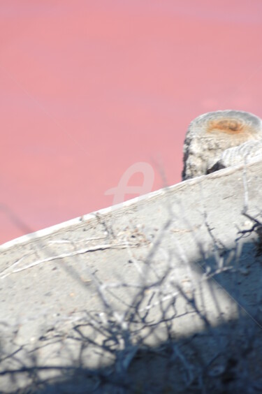 Photographie intitulée "l'eau rose" par Sand Laurans, Œuvre d'art originale, Photographie non manipulée