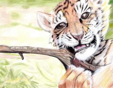 Desenho intitulada "tigron.jpg" por Sandra Chapdelaine, Obras de arte originais, Outro