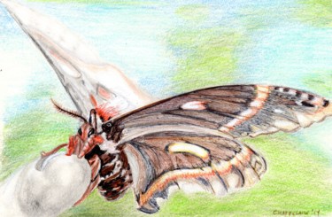 Dessin intitulée "petit-papillon077.j…" par Sandra Chapdelaine, Œuvre d'art originale, Autre