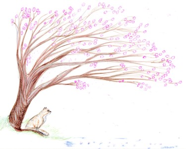 Dessin intitulée "sakura.jpg" par Sandra Chapdelaine, Œuvre d'art originale, Autre