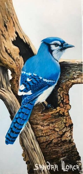 Painting titled "Geai bleu" by Sandra Llorca, Original Artwork, Acrylic Mounted on Wood Stretcher frame