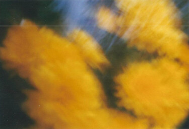 「Yellow flowers (pin…」というタイトルの写真撮影 Sandra Willendorfによって, オリジナルのアートワーク, 操作されていない写真
