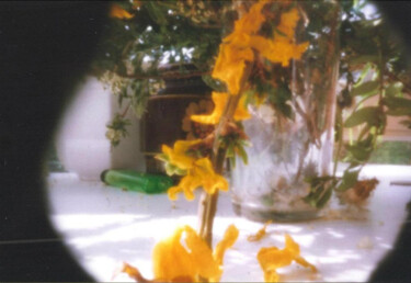 「Forsythie (pinhole)」というタイトルの写真撮影 Sandra Willendorfによって, オリジナルのアートワーク, 操作されていない写真