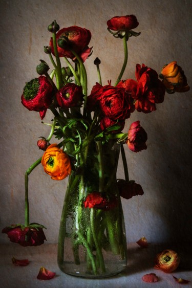 Photography titled "Ranunculus" by Sandra Platas Hernández, Original Artwork, Digital Photography