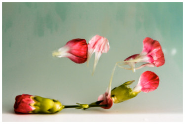 Primavera Fotografia intitulada "Primavera" por Sandra Platas Hernández, Obras de arte originais, Fotografia digital