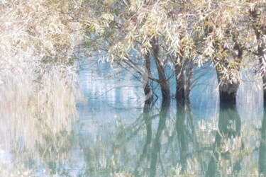 Photographie intitulée "Reflets sur le lac" par Sandrine N., Œuvre d'art originale, Photographie numérique
