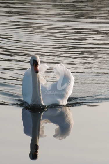 Photographie intitulée "Il suffira d'un cyg…" par Sandrine N., Œuvre d'art originale, Photographie numérique