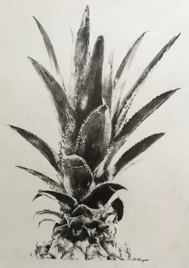 Drawing titled "Ananas" by Sandrine Royer, Original Artwork, Graphite Mounted on Glass