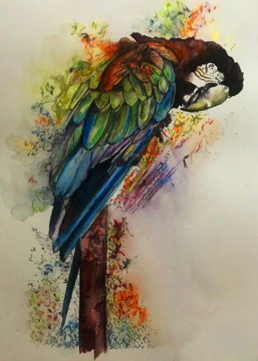 Pintura titulada "Perroquet" por Sandrine Royer, Obra de arte original, Tinta