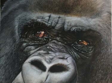 Drawing titled "Gorille" by Sandrine Saloni, Original Artwork, Pencil