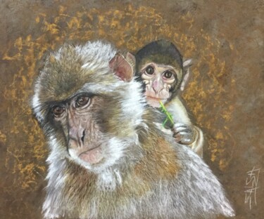 Drawing titled "Singes" by Sandrine Saloni, Original Artwork, Pastel