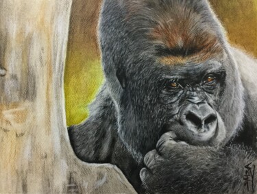 Drawing titled "Gorille 2" by Sandrine Saloni, Original Artwork, Pencil