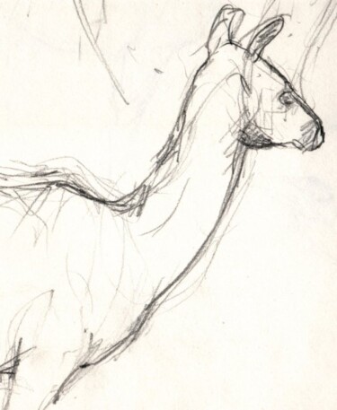 Disegno intitolato "animaux7.jpg" da Sandrine Wely, Opera d'arte originale