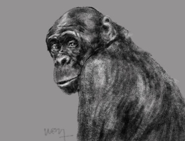 Artes digitais intitulada "Chimpanzé" por Sandrine Wely, Obras de arte originais