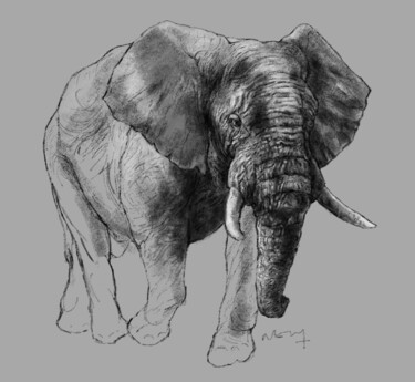 「Eléphant du Kruger」というタイトルのデジタルアーツ Sandrine Welyによって, オリジナルのアートワーク