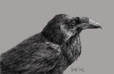 Arte digital titulada "Grand corbeau" por Sandrine Wely, Obra de arte original