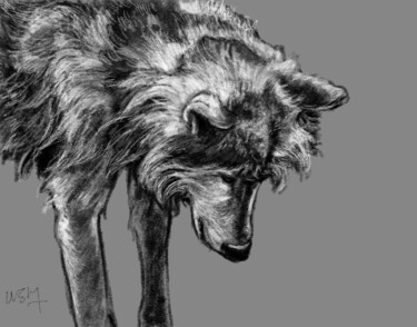 Artes digitais intitulada "Portrait d'un loup" por Sandrine Wely, Obras de arte originais