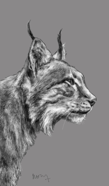 Artes digitais intitulada "Portrait d'un lynx…" por Sandrine Wely, Obras de arte originais