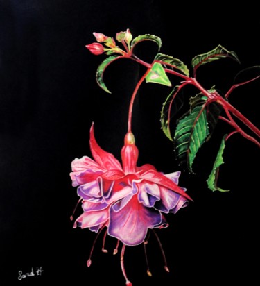 Tekening getiteld "fuschia" door Sandrine Hardjani, Origineel Kunstwerk