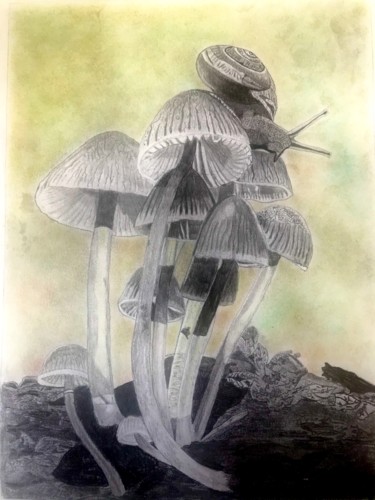 Drawing titled "Nature en liberté" by Sandrine Piegay, Original Artwork, Graphite