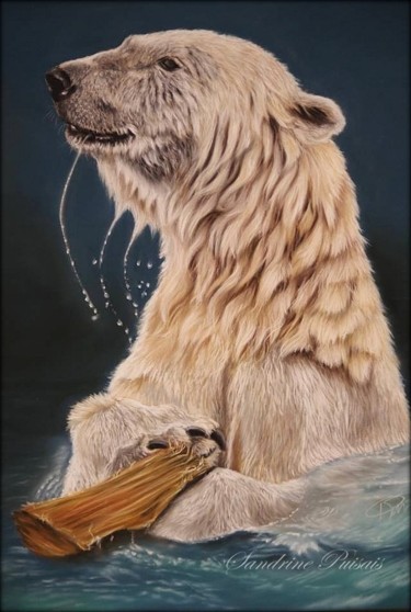 Drawing titled "ours blanc" by Sandrine Puisais, Original Artwork, Pastel
