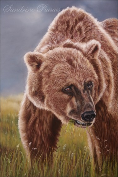 Drawing titled "ours brun" by Sandrine Puisais, Original Artwork, Pastel