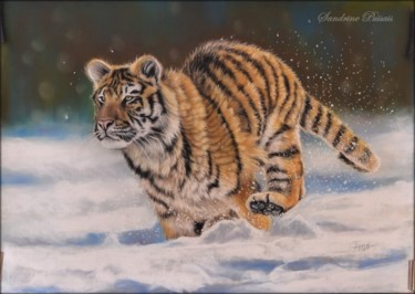 Drawing titled "tigre" by Sandrine Puisais, Original Artwork, Pastel