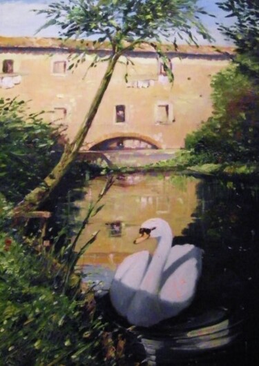 Painting titled "un cigno al vecchio…" by Sandro Mulinacci, Original Artwork