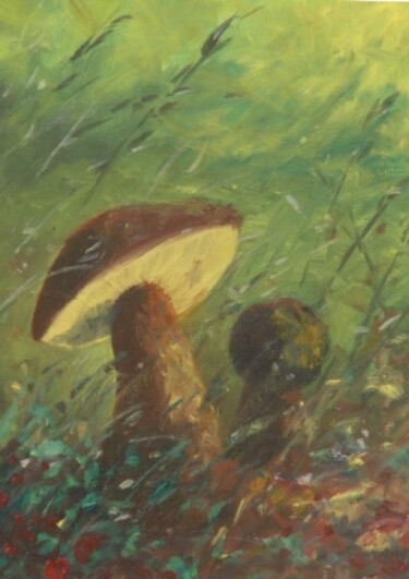 Pittura intitolato "due funghi" da Sandro Mulinacci, Opera d'arte originale