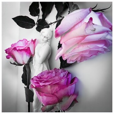 Digital Arts titled "Rosa #9572" by Sandro, Original Artwork, Manipulated Photography