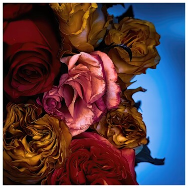 Digital Arts titled "Rosa #6195" by Sandro, Original Artwork, Manipulated Photography