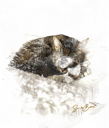Fotografie getiteld "Cat’s lifE" door Sandy Badoux, Origineel Kunstwerk, 2D Digital Work