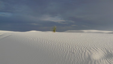 Fotografia intitolato "White sand dunes" da Paul Santander, Opera d'arte originale