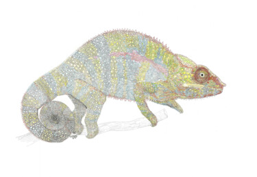 Картина под названием "chameleon" - Santiago Restrepo, Подлинное произведение искусства, Чернила